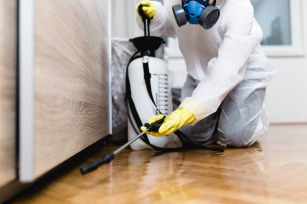 Best Local Pest Control Services  in Keego Harbor, MI