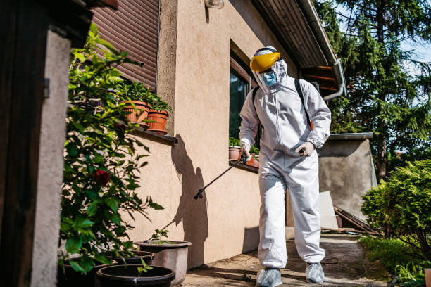 Best Pest Removal Services  in Keego Harbor, MI