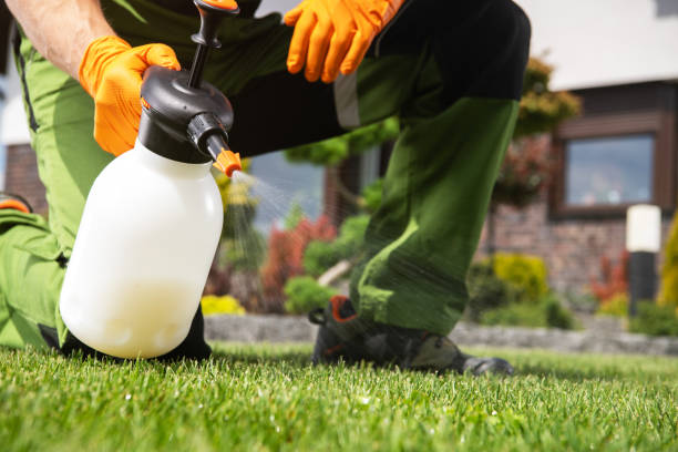 Pest Control for Restaurants in Keego Harbor, MI