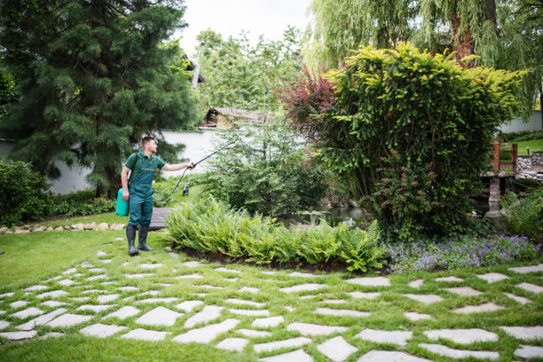 Best Mosquito Control Services  in Keego Harbor, MI