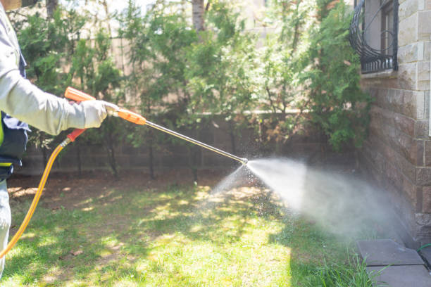 Best Pest Control for Restaurants  in Keego Harbor, MI