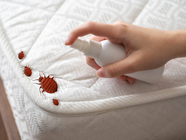 Best Emergency Pest Control  in Keego Harbor, MI